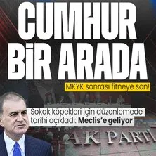 Başkan Erdoğan liderliğinde AK Parti MKYK toplandı | Ömer Çelik tarihi açıkladı: Sokak köpekleri için düzenleme Meclis’e geliyor