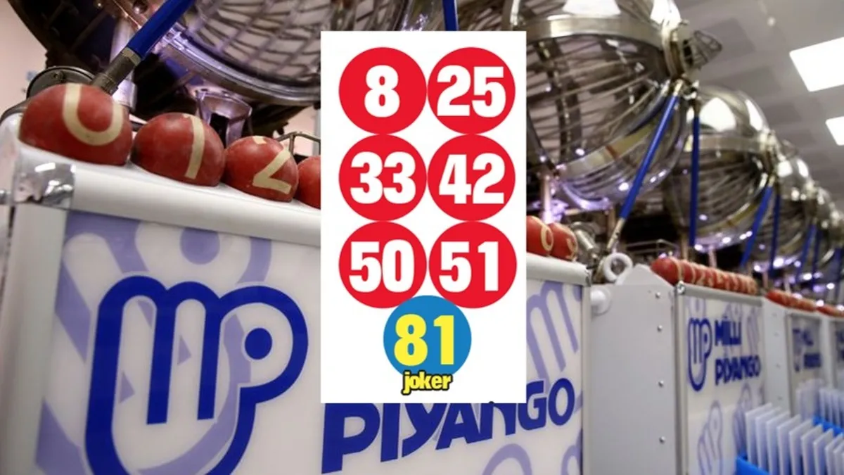 Çılgın Sayısal Loto belli oldu! 262 milyon devretti