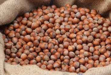 Rekabet Kurumu'ndan fındık fırsatçısı Ferrero'ya tepki: "Piyasa düzeni manipülasyona teslim edilmez"