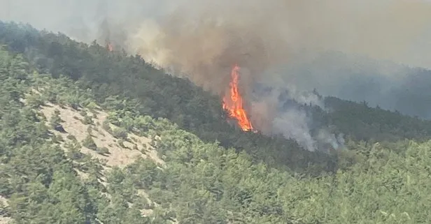 Balıkesir ve Eskişehir’de orman yangını: Karadan ve havadan müdahale