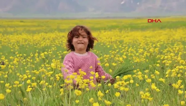 Terörden temizlenen Hakkari Yüksekova'da baharda açan sarı renkli çiçeklerle doyumsuz manzara!