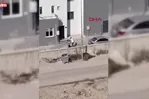 Adana’da sokak ortasında kadına saldırdı! Kaçmaya çalışan kadını tekme yumruk dövdü