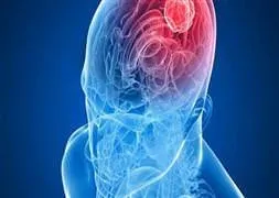 Türk araştırmacılar beynin sırlarını çözdü