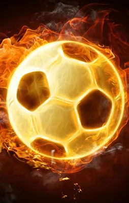 F.Bahçe'den bir yıldız transferi daha!