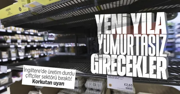 İngiltere'de enflasyon krizi yumurtayı da vurdu! Marketlerde yok: Üretim durdu çiftçiler sektörü bıraktı