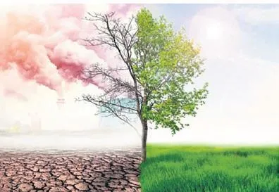 CHP'li Manavgat Belediye Başkanı Şükrü Sözen kendi villasını kullandı! Manavgat'ın yanması umrunda olmadı-11