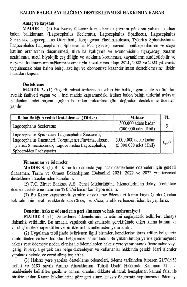 resmi-gazetede-yayimlandi-balon-baligi-avlayana-5-tl-1620078705050.jpg