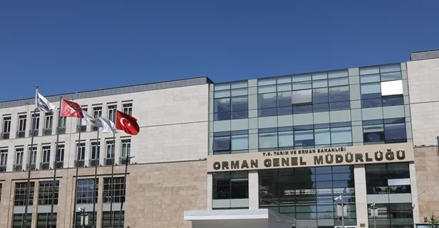 Orman Genel Müdürlüğü sözleşmeli personel alımı yapacak