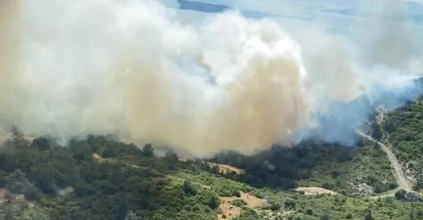 Son dakika: İzmir’de makilik ve orman yangını