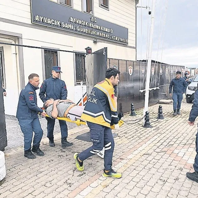 Bot faciası