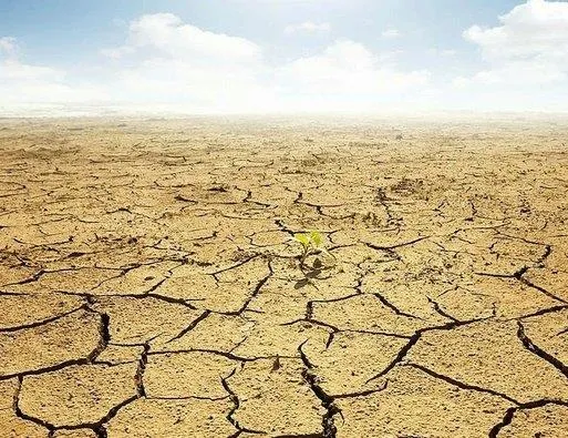 Türkiye’nin kuraklık faturası belli oldu