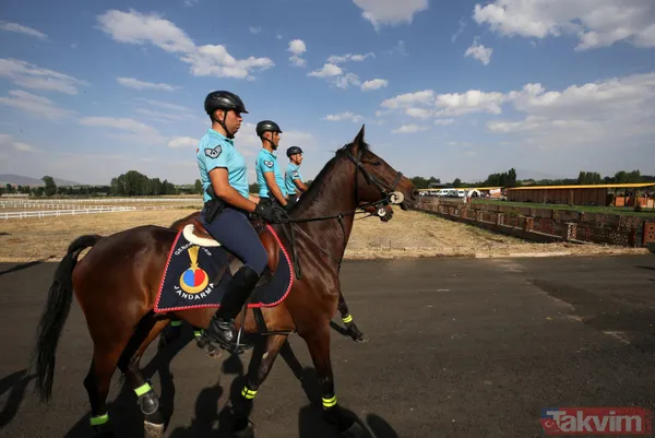 Malazgirt Zaferi'nin 951. yıl dönümünde Ahlat'tan coşku dolu kareler! Başkan Erdoğan ve Devlet Bahçeli Selçuklu mezarını ziyaret etti - 38