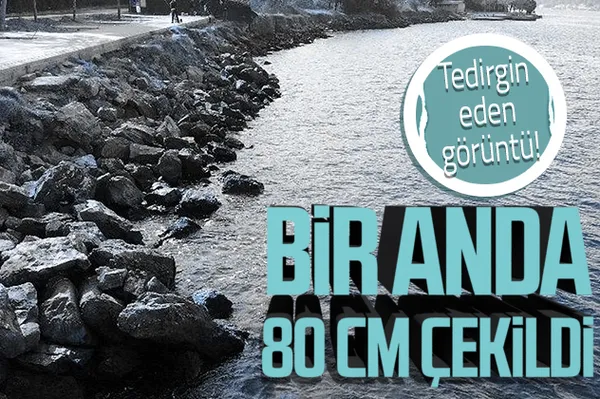 İstanbul Beykoz'da tedirgin eden görüntü! Bir anda 80 cm çekildi!-1