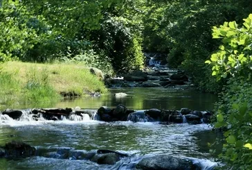 Doğa Koruma ve Milli Parklar Genel Müdürlüğü 240 sözleşmeli personel alacak! Hangi kadrolar listede, başvuru şartları neler?