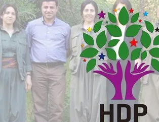 HDP’li Demirtaş, Millet İttifakı’nın adayı olmak istiyor