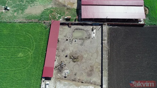 Tanesi 7 TL'ye yumurta! Yere atıldığında bile kolay kolay kırılmıyor - 20