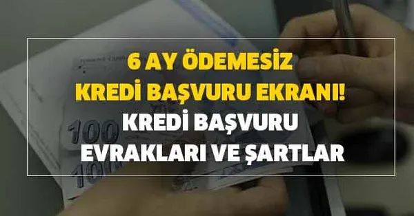6 ay odemesiz kredi basvuru ekrani