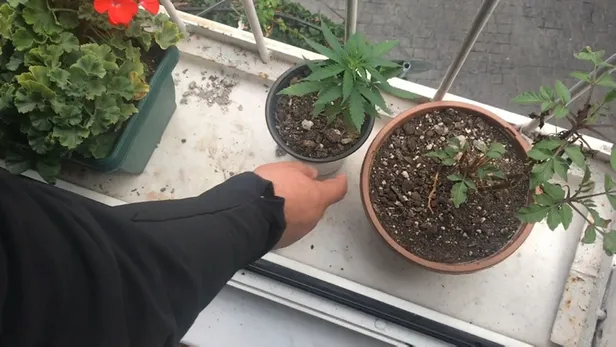 Son dakika: Ünlülerin torbacısı "Kötü Kedi Şerafettin" sevgilisiyle birlikte yakalandı-3