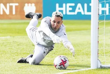 Navas hamlesi