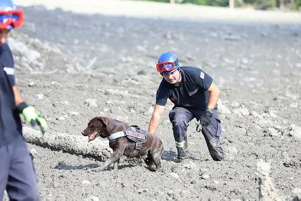 gurcistandaki-heyelan-felaketinde-can-kaybi-17ye-yukseldi-1691269741998.jpeg Gürcistan'daki heyelan felaketinde can kaybı 17'ye yükseldi-3