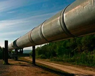 Şırnak Hattı’na 5 teklif verildi