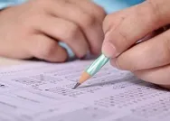 Kocaeli Anadolu liseleri, Fen liseleri ve İmam Hatip listesi! 2020 Kocaeli LGS lise taban puanları ve yüzdelik dilimler bilgileri!