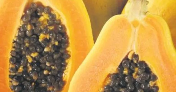 Tansiyona papaya