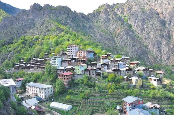 Artvin’in Dereiçi köyündeki yangının bilançosu gün ağarınca ortaya çıktı: 60 ev, 20 ahır kül oldu-1