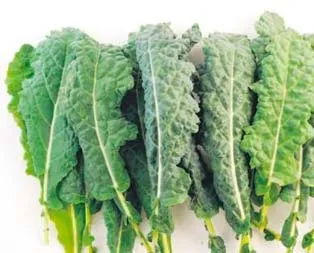 Kansersavar karalahana