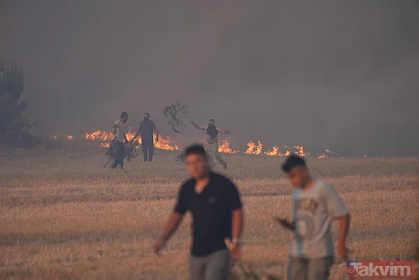 İzmir'deki yangın kontrol altına alındı! Bakan Yumaklı bölge bölge son durumu açıkladı - 11