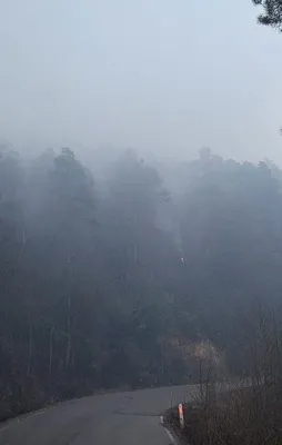 Bakandan Sürmene'deki yangına ilişkin açıklama