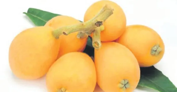 Kalp dostu yenidünya hangi hastalıklarla savaşır?