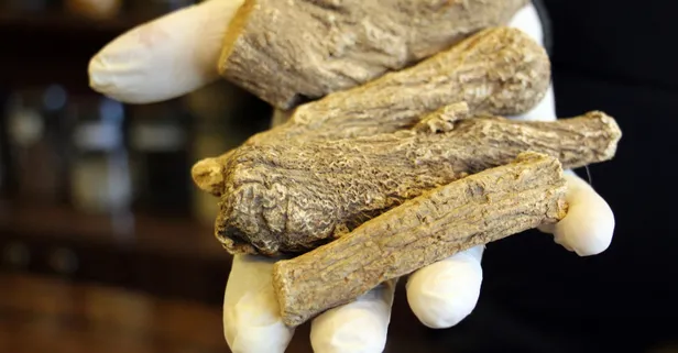 Türkiye'deki koronavirüs salgını Udi Hindi bitkisine talebi artırdı! Satışlar 400 kat arttı