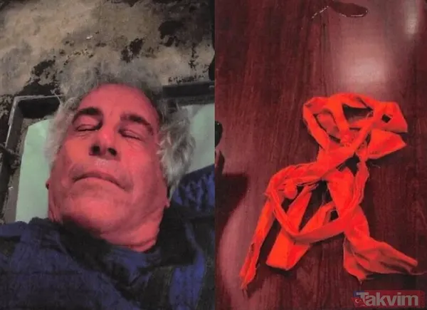 Epstein’ı kim öldürdü? Görünmez adam Prens Andrew mu? Trump tecavüz etti iddiası - 8