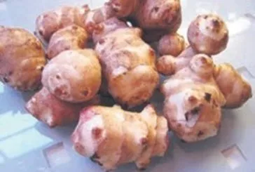 Potasyum deposu yer elması hangi hastalıklara karşı korur?
