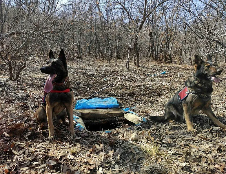 Teröristlerin ini imha edildi