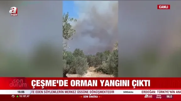 Çeşme'de orman yangını!