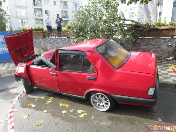 Refüjü aşıp ağaca çarptı yolda yürüyen kadın saniyelerle aracın altında kalmaktan kurtuldu! İşte o anlar - 12