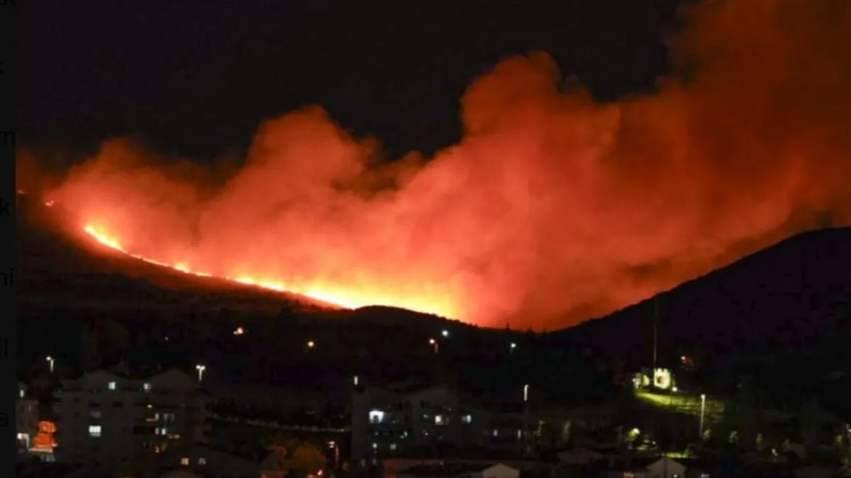 Ankara Mamak'ta orman yangını: Ekipler alevlere müdahale ediyor