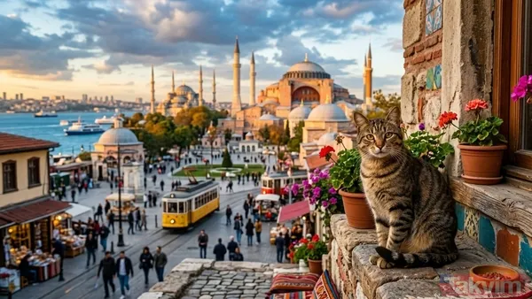İstanbul'da Yüzyıllardır Süregelen İnsan-Kedi Bağı, Bugün Hala Mahalle Aralarındaki Mama Kaplarında, Park Köşelerindeki Kedi Evlerinde Ve Gündelik Yaşamın...