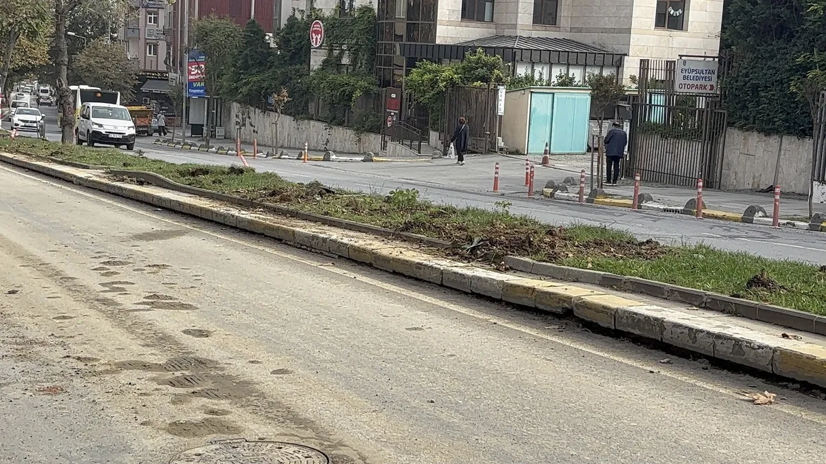 Eyüpsultan'da 5 ağaç kesildi! Vatandaşlardan İBB'ye tepki: Asırlık çınarlar tehlikede