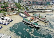 Sabah gazetesi yazarı Mahmut Övür: Marmarayı öldüren deniz salyasına Ekrem İmamoğlunun katkısı!