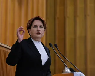 Meral Akşenerin uçak yalanı elinde patladı!