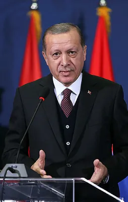 Erdoğan'dan Novi Pazarlılar'a birlik çağrısı