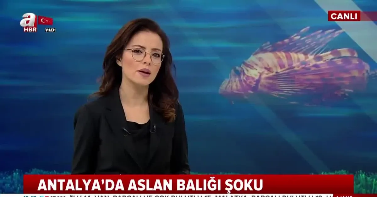 Ayağına düşen 'aslan balığı' öldürüyordu