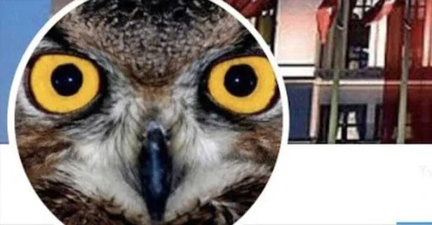 FETÖ'den yargılanan 'Ankara Kuşu' hakim karşısına çıktı!