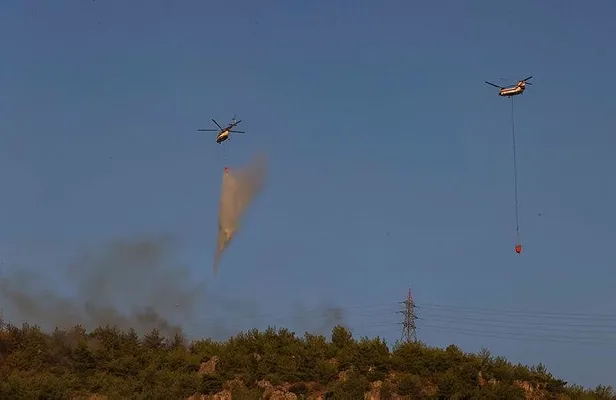 Aydın Söke'de orman yangını kontrol altında!-8