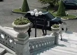 Dünyaca ünlü yönetmen THY için çekti! ABD bunu izledi