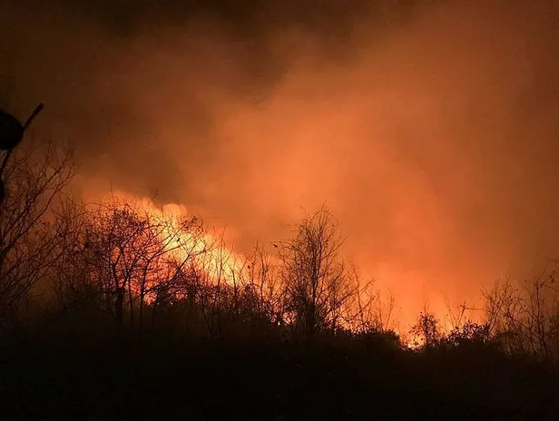 Karadeniz'deki orman yangınlarını terör örgütü PKK üstlendi!-1