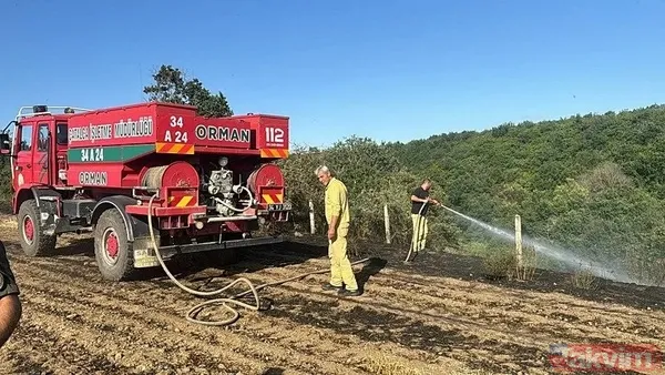 Anız yakma, yaktırma! Tarım ve Orman Bakanı İbrahim Yumaklı'dan çiftçiye 'yangın' uyarısı: Hasatta sigara içme, tarlada çay demleme - 4